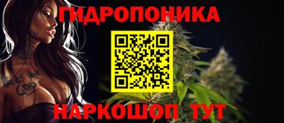дмт Будённовск