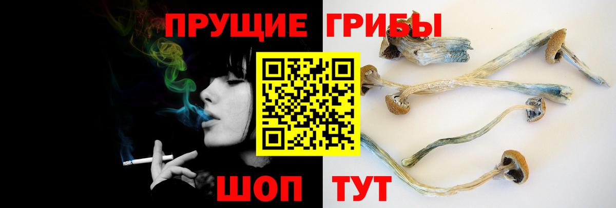 Псилоцибиновые грибы ЛСД  Вход с VPN  Саки 